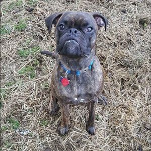 Meet your Posher, Caitlyn