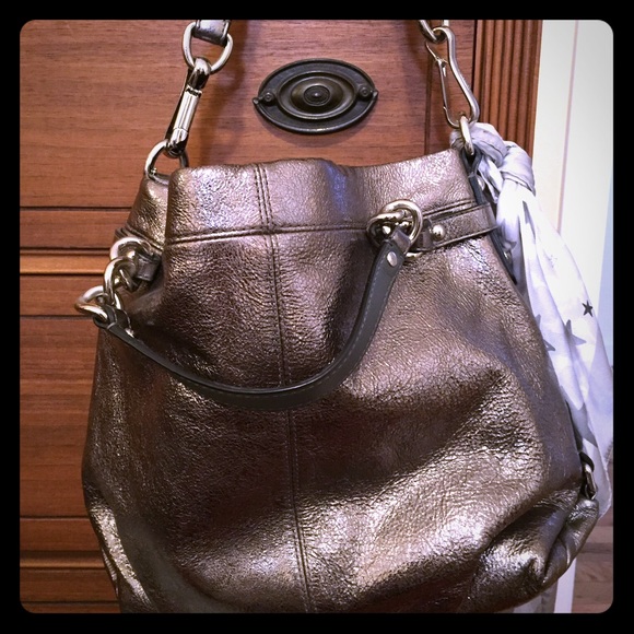 Silver Coach Purse