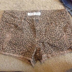 leopard print shorts