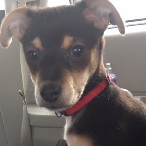 Meet your Posher, Emma