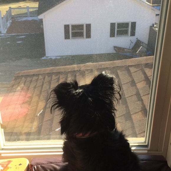 Meet your Posher, Maya