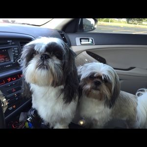 Meet your Posher, Cindy