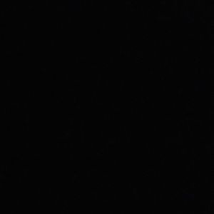 Meet your Posher, Sydnee