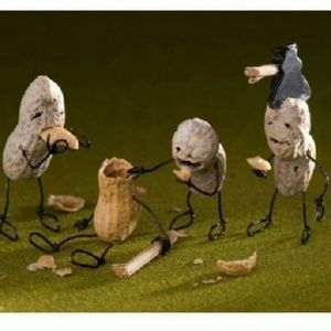 Meet your Posher, Monica