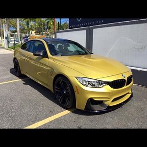 Meet your Posher, Hector