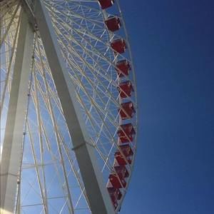 Meet your Posher, Mia