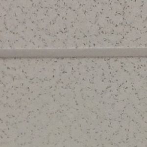 Meet your Posher, Angelica