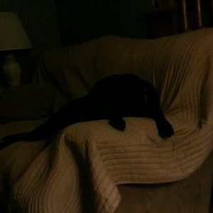 Meet your Posher, Susan