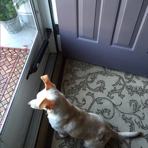 Meet your Posher, Dana - Picture 1 of 1