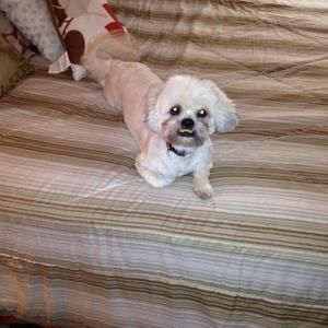 Meet your Posher, Mari'