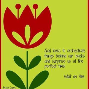 Meet your Posher, Flora