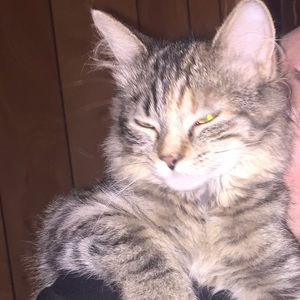 Meet your Posher, Julia