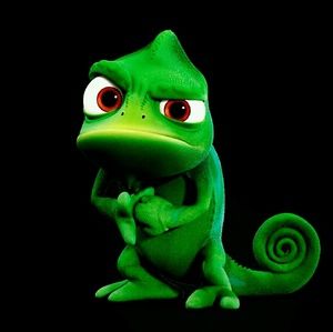 Meet your Posher, Adan