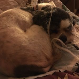 Meet your Posher, Christy