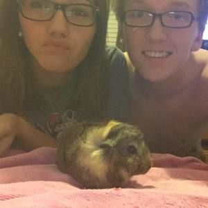 Meet your Posher, Gavin