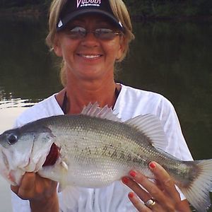 Meet your Posher, Vickie