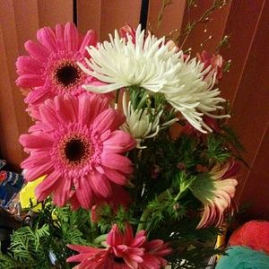 Meet your Posher, Daisy