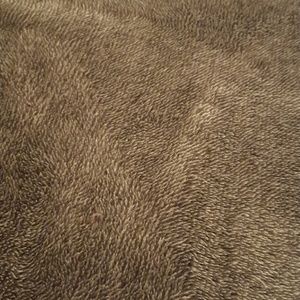 Meet your Posher, Brandy