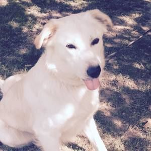 Meet your Posher, Claire