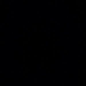 Meet your Posher, Estrella