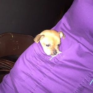 Meet your Posher, Mark