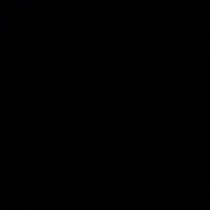 Meet your Posher, Anastasia