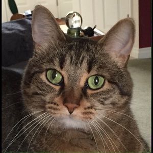 Meet your Posher, Cindy