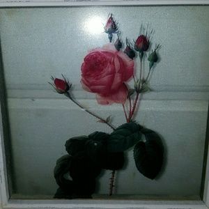 Meet your Posher, Sylvia