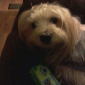 Meet your Posher, Kirsten