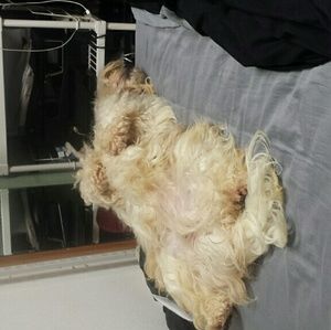 Meet your Posher, Ethan