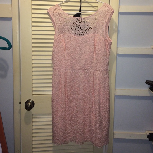 White House Black Market lace dress. NWT