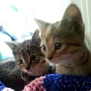 Meet your Posher, Jacquelyn