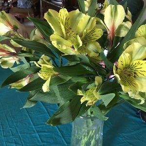 Meet your Posher, Naheda