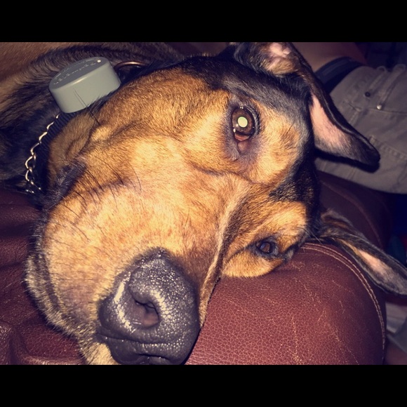 Meet your Posher, Justine