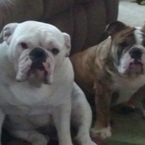 Meet your Posher, Stacey