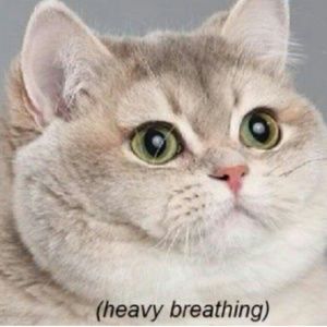 Meet your Posher, Mariah