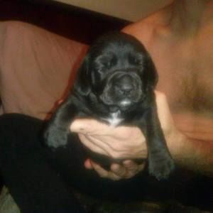 Meet your Posher, Patty