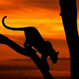 Meet your Posher, Claudia