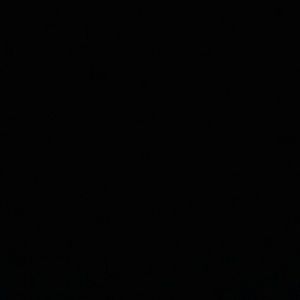 Meet your Posher, Chase