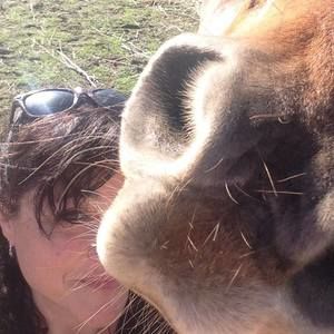 Meet your Posher, Corey