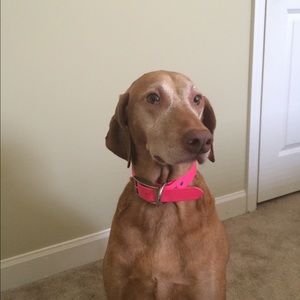 Meet your Posher, Nichole