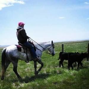 Meet your Posher, Wacey