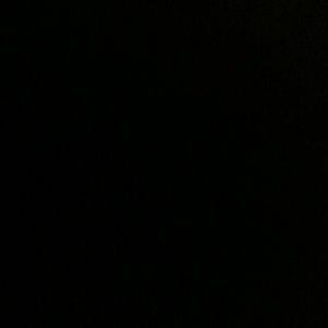 Meet your Posher, Ellis