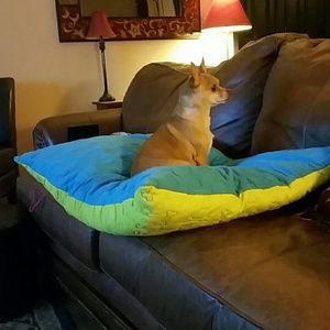 Meet your Posher, Kacie