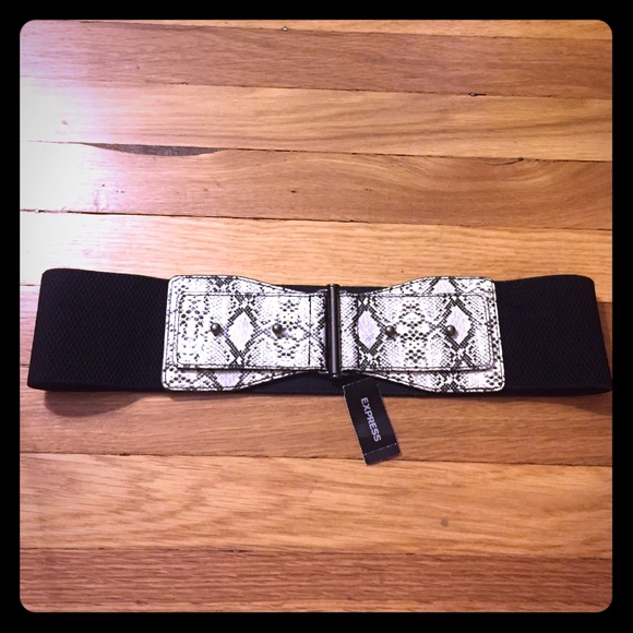 Snake skin belt