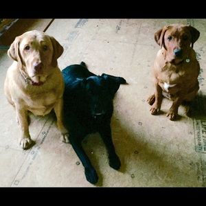 Meet your Posher, Jill