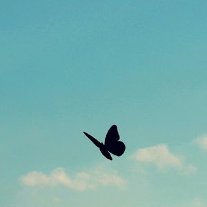 Meet your Posher, Francheska