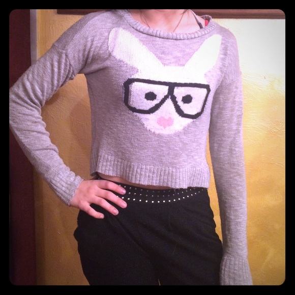 Nerdy bunny grey sweater