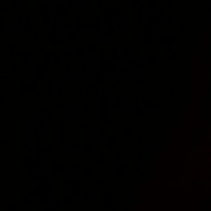 Meet your Posher, Tanea