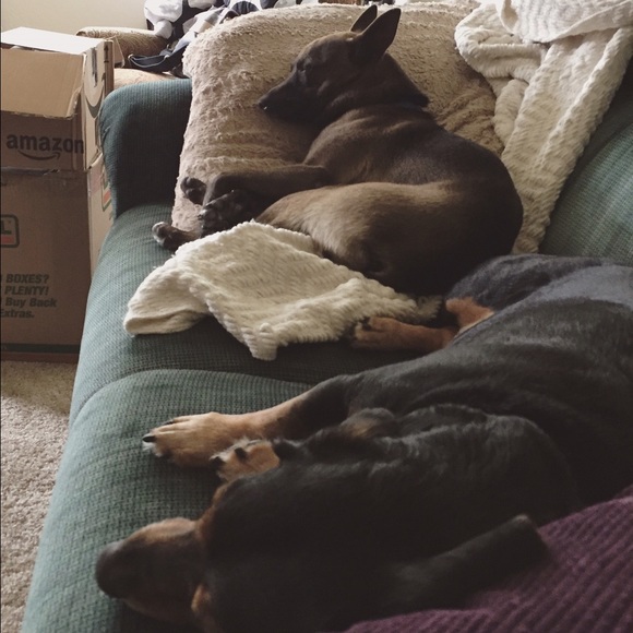 Meet Your Posher - Picture 3 of 7